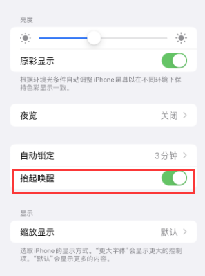 恩阳苹果授权维修站分享iPhone轻点无法唤醒怎么办