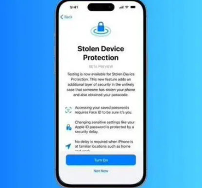 恩阳苹果授权维修店分享被盗设备保护功能开启方法 