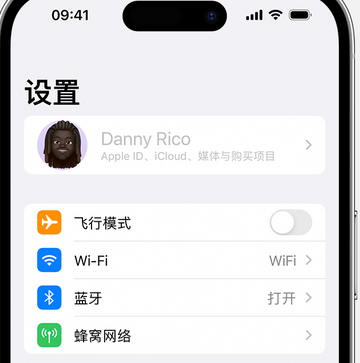 恩阳appleID维修服务iPhone设置中Apple ID显示为灰色无法使用