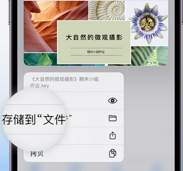 恩阳apple维修中心分享iPhone文件应用中存储和找到下载文件