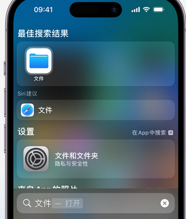 恩阳apple维修中心分享iPhone文件应用中存储和找到下载文件 