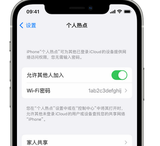 恩阳apple服务站点分享iPhone上个人热点丢失了怎么办 