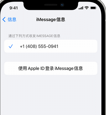 恩阳apple维修iPhone上无法正常发送iMessage信息