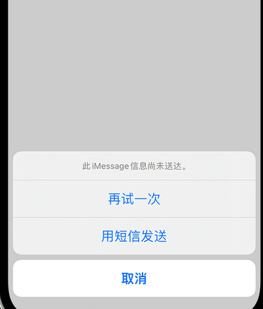 恩阳apple维修iPhone上无法正常发送iMessage信息