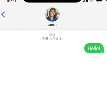 恩阳apple维修iPhone上无法正常发送iMessage信息