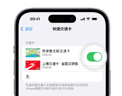 恩阳apple维修点分享iPhone上更换Apple Pay快捷交通卡手绘卡面 