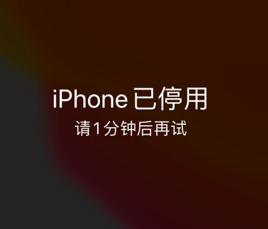 恩阳苹果手机维修分享:iPhone 显示“不可用”或“已停用”怎么办？还能保留数据吗？ 