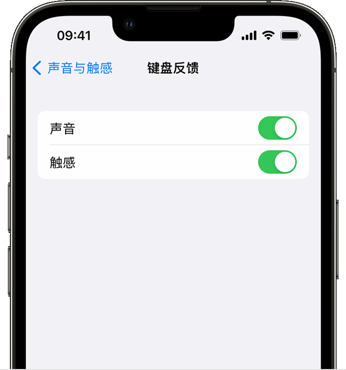 恩阳苹果14维修店分享如何在 iPhone 14 机型中使用触感键盘 