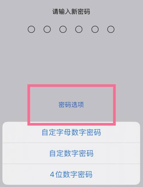 恩阳苹果14维修分享iPhone 14plus设置密码的方法 