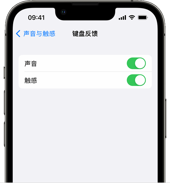 恩阳苹果14维修分享iPhone 14 系列机型如何开启键盘声音或触感反馈 
