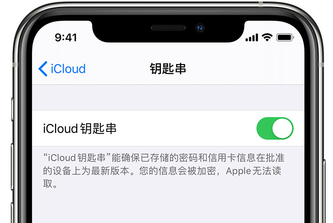 恩阳苹果手机维修分享在 iPhone 上开启 iCloud 钥匙串之后会储存哪些信息 