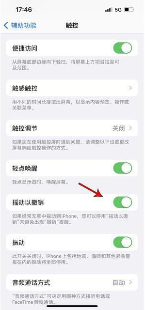 恩阳苹果手机维修分享iPhone手机如何设置摇一摇删除文字 