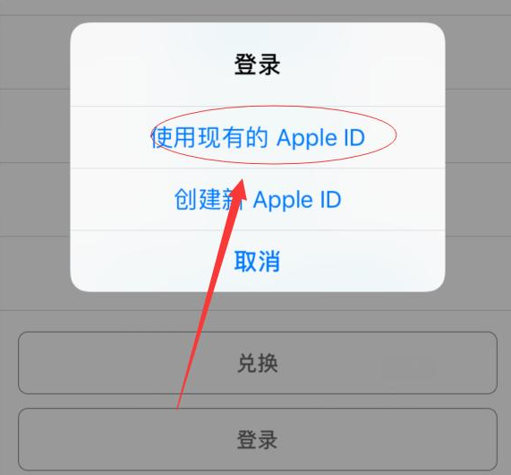 恩阳苹果手机维修分享两台iPhone设备可以同时登录一个Apple ID吗 