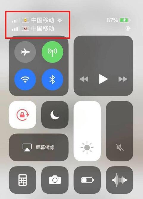 恩阳苹果手机维修分享为 iPhone 12 双卡设置标签 